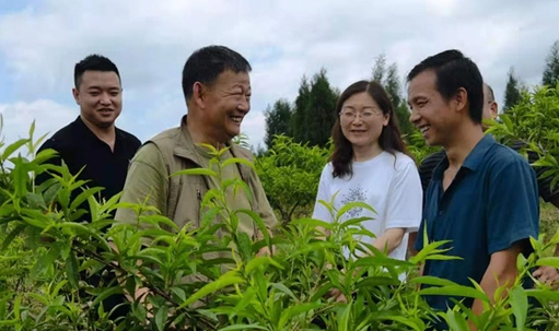 姜全：35年用心血与智慧“浇灌”桃园