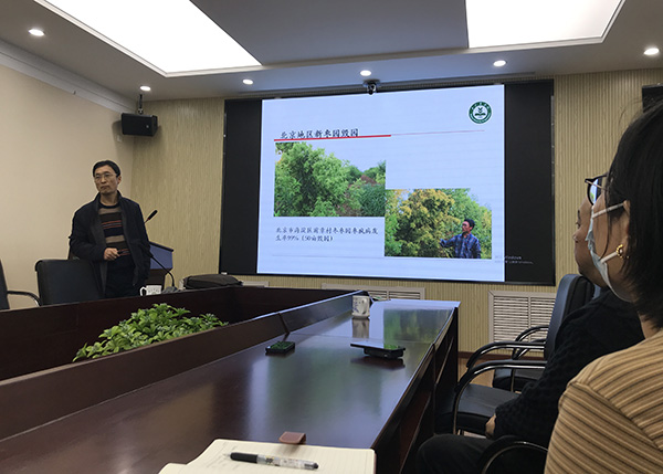 揭秘枣疯病传播途径：北京农学院王进忠教授团队枣疯病研究成果
