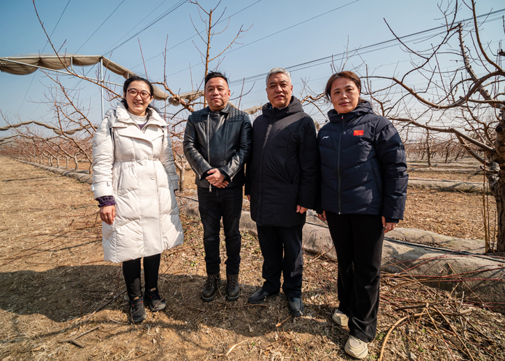 北京市农林科学院植物保护研究所科研人员赴国家桃产业技术体系深州示范基地调研指导工作