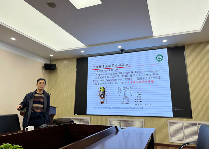 北京农学院王进忠教授来所分享枣疯病研究成果