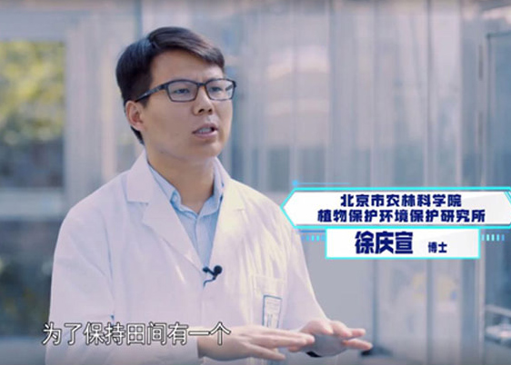 北京市农林科学院植物保护研究所科研人员做客《新闻大求真》节目科普天敌昆虫知识