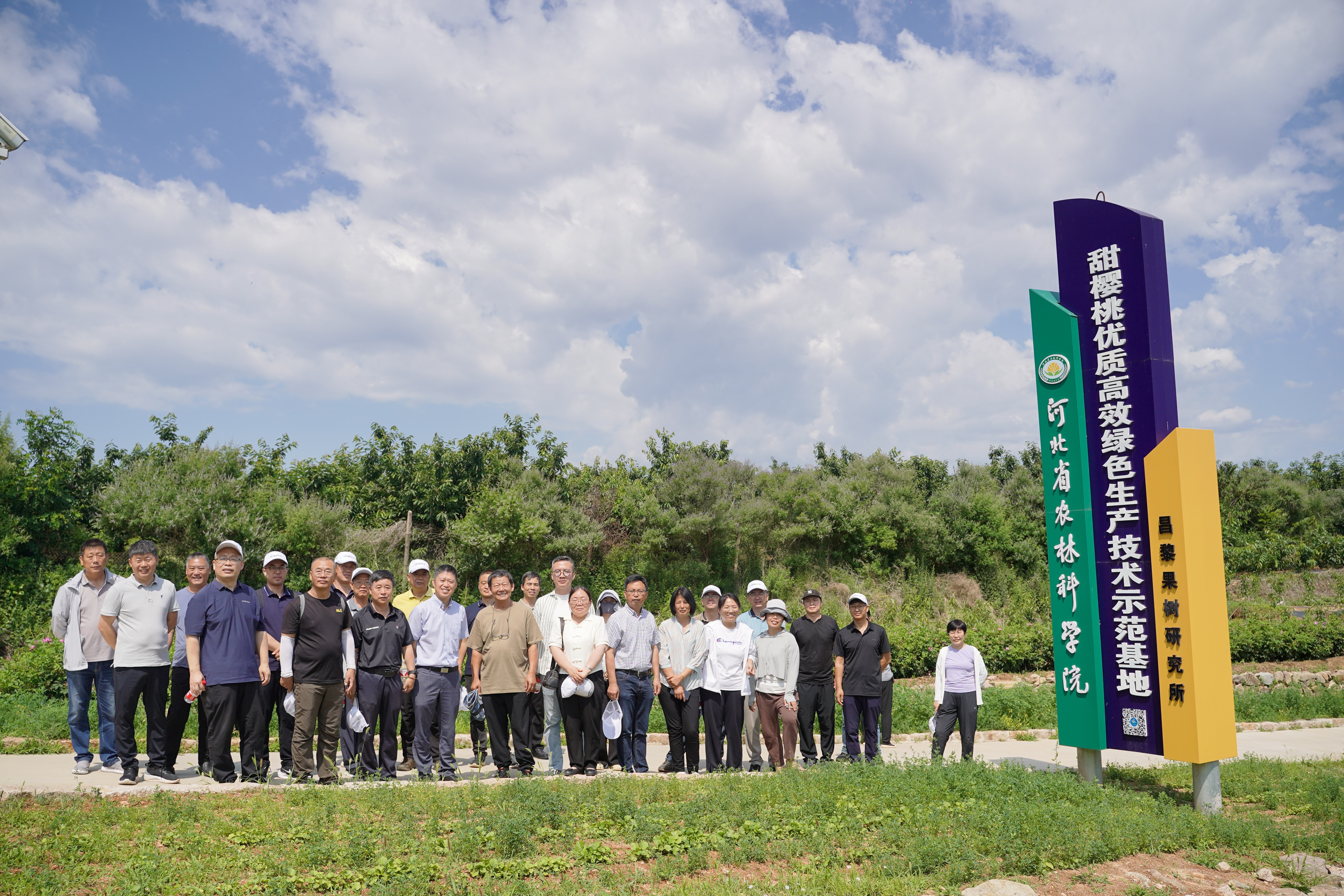 樱桃产业高质量发展研讨会在山海关成功举办