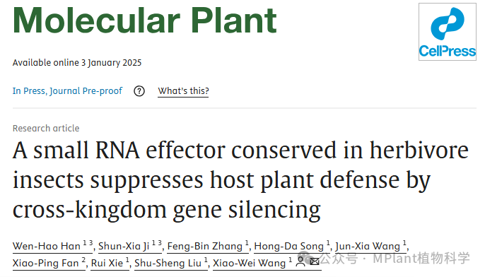 Mol Plant | 浙江大学王晓伟教授团队研究揭示一种昆虫小RNA效应因子抑制寄主植物防御的机制