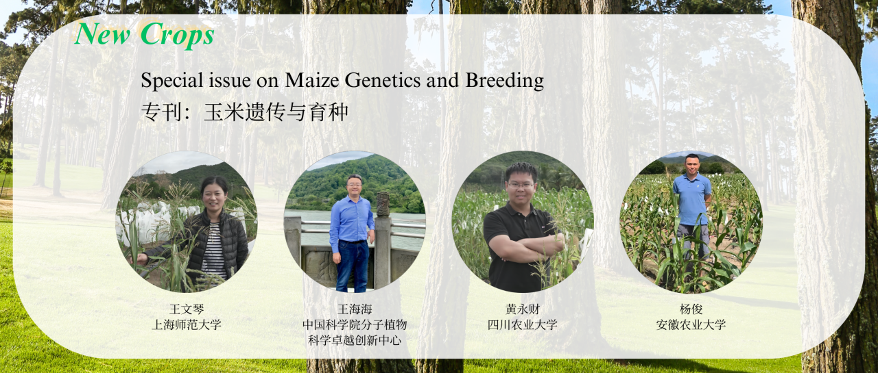 New Crops | 2025年持续征稿专刊