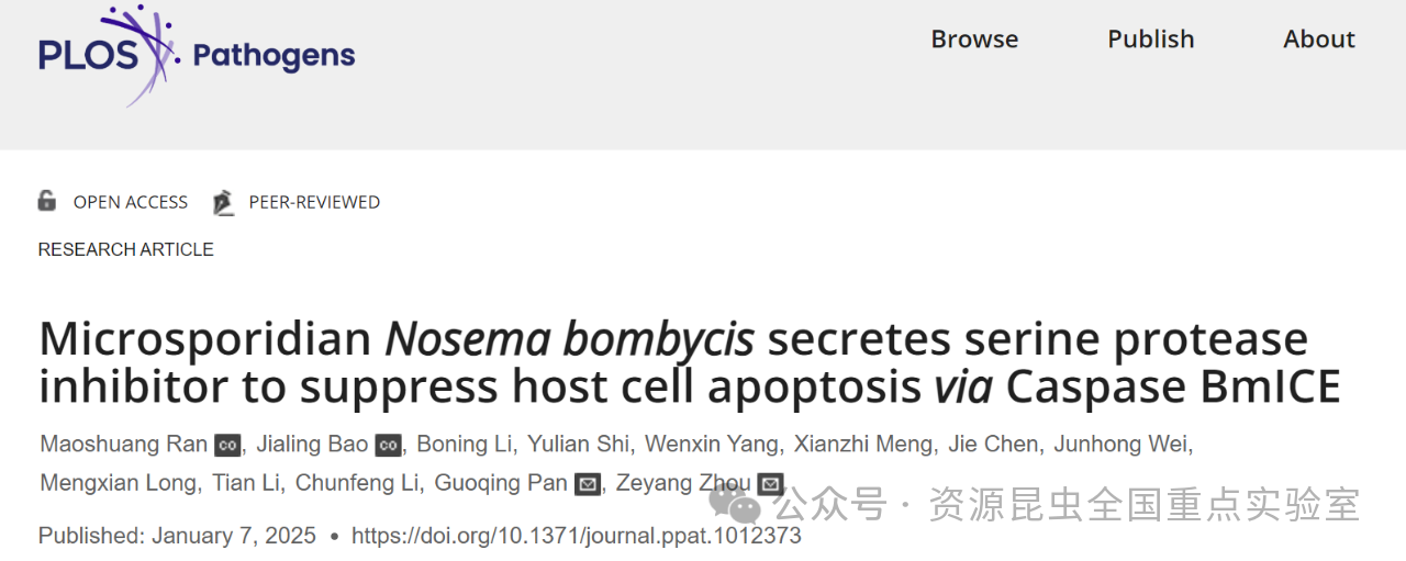 PLoS Pathogens-资源昆虫高效养殖与利用全国重点实验室微孢子虫团队揭示家蚕微孢子虫“生存之道”