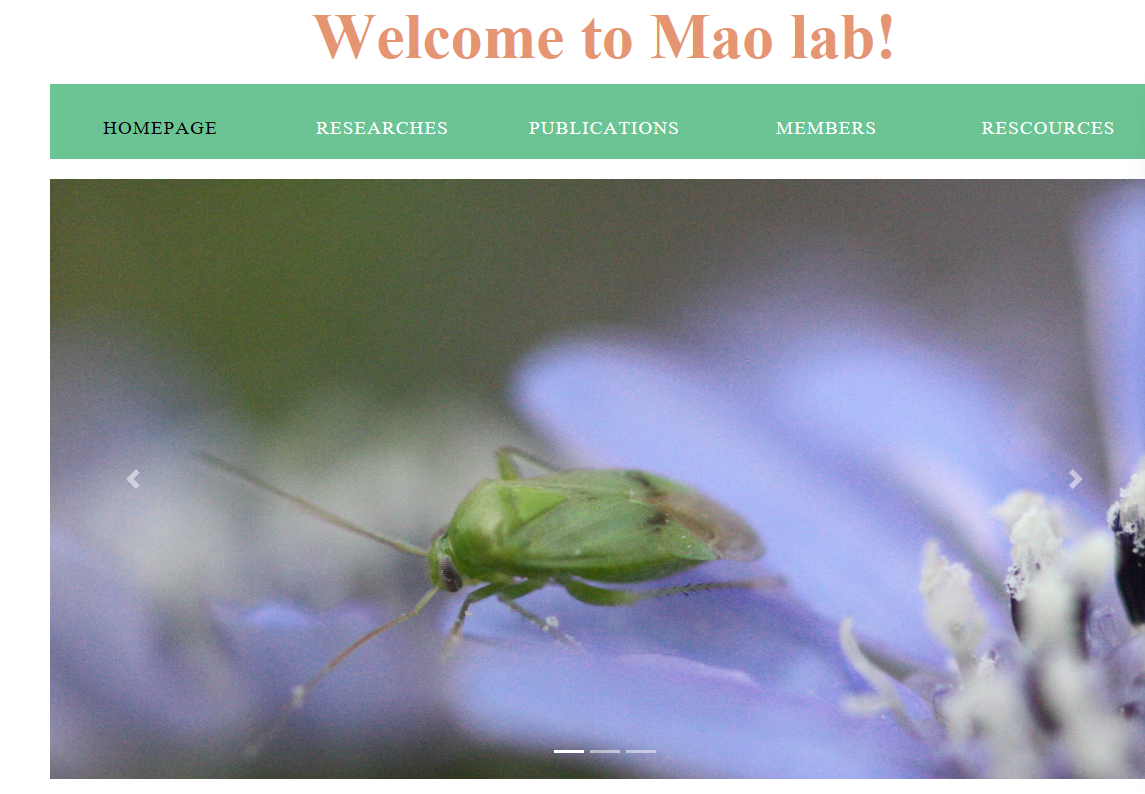 招聘-中国科学院分子植物科学卓越创新中心毛颖波课题组招聘