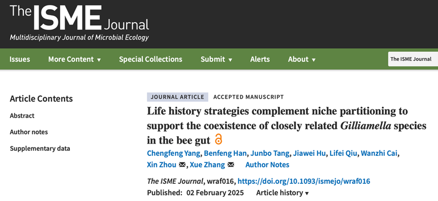 ISME J.-中国农大周欣/张雪课题组揭示蜜蜂肠道共生菌种共存的奥秘——生存策略与生态位分化的协同作用