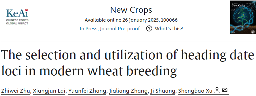 New Crops | 西北农林科技大学农学院许盛宝团队研究揭示现代小麦选择早熟性状的关键位点