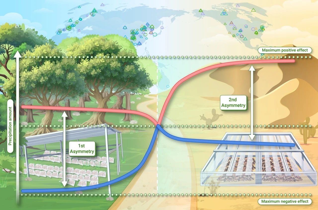 The Innovation Geoscience | 凋落物分解对降水变化的不对称响应：来自野外实验和全球综合的双重证据