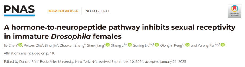 PNAS | 潘玉峰/李胜团队合作揭示激素-神经肽信号通路抑制幼年性行为的神经机制