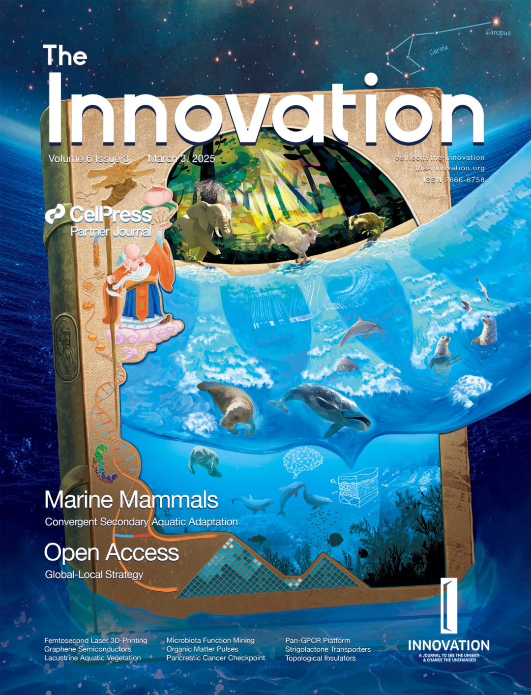 The Innovation | Volume 6 Issue 3 Live Now