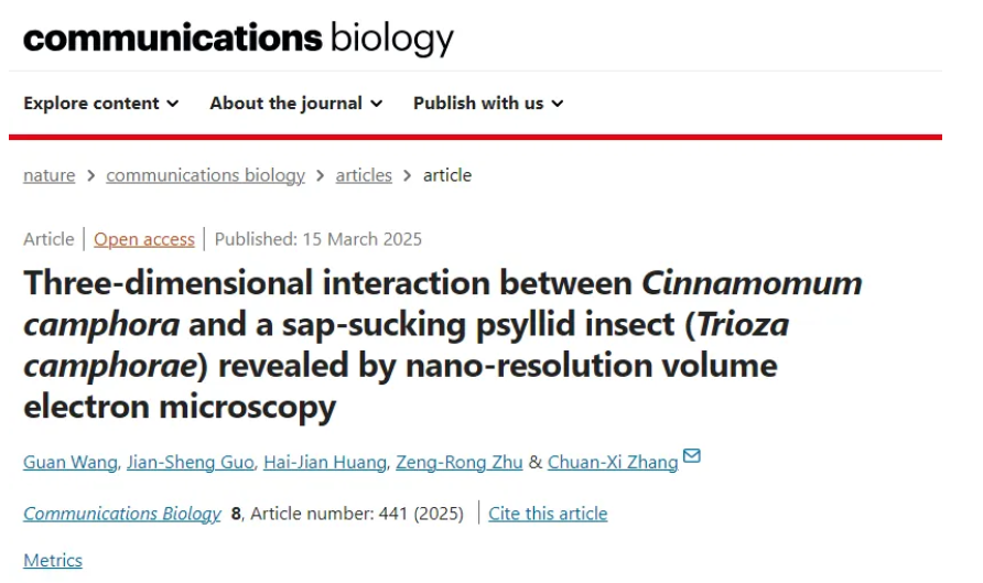 Commun. Biol.-浙江大学博士后利用体积电子显微镜技术揭示刺吸式口器昆虫和植物之间的三维互作