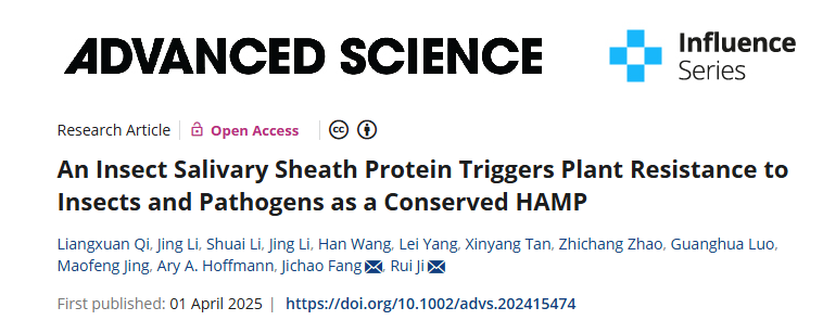 Adv. Sci. |江苏省农科院方继朝/纪锐团队揭示灰飞虱唾液鞘蛋白中的一段小肽作为保守型的HAMP激活植物广谱抗性的机制