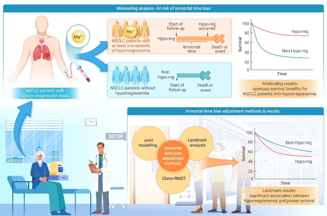 The Innovation Medicine | 控制非死亡时间偏倚：血镁与肿瘤预后关联关系的反转