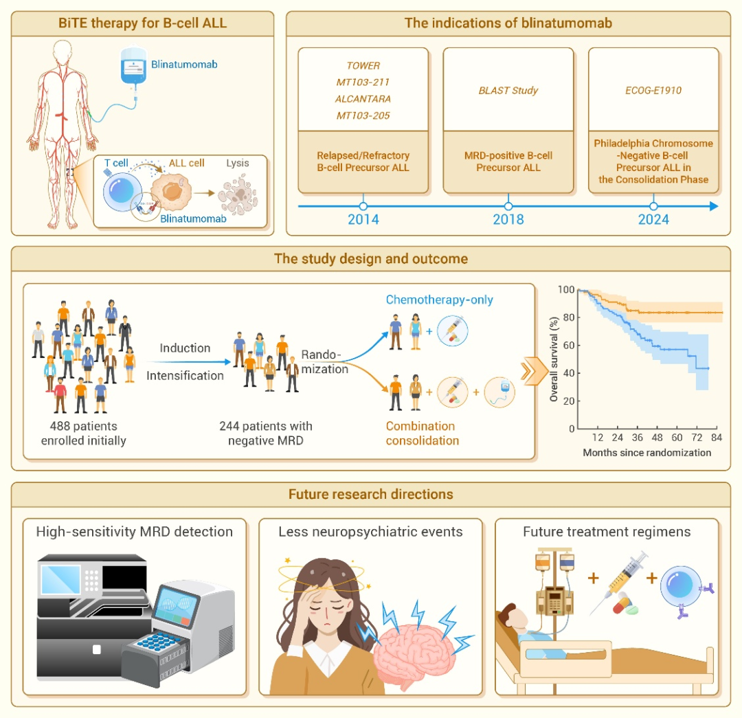 The Innovation Medicine | 贝林妥适应症再拓宽——急性B淋巴细胞白血病治疗全面步入贝林妥时代