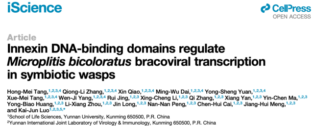 iScience-云南大学罗开珺团队揭示茧蜂含DNA绑定结构域的Innexin蛋白调控茧蜂病毒转录调控的新机制