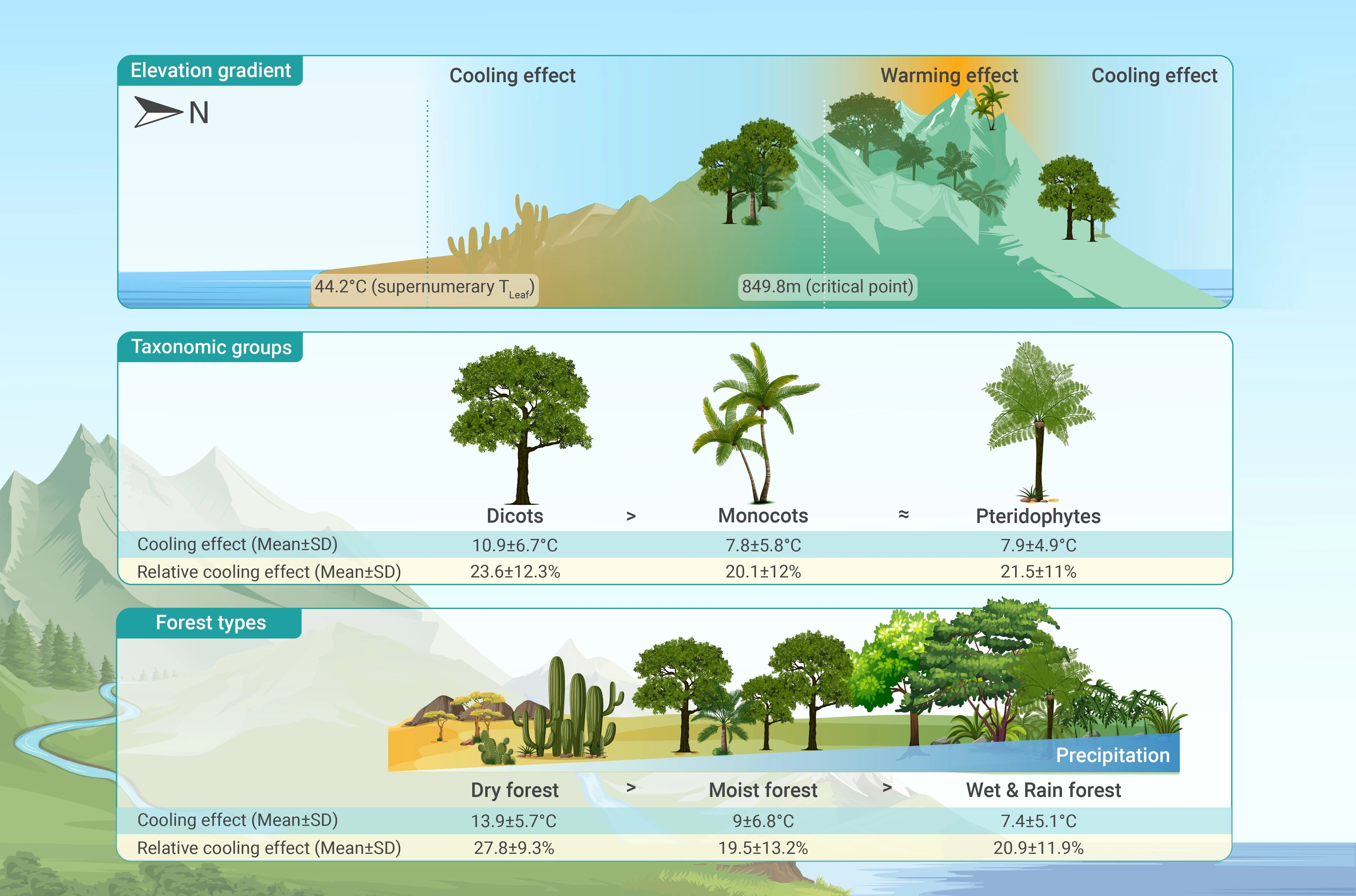 The Innovation Geoscience | 未受关注的气候守护者：热带森林通过调节地面温度影响全球变暖