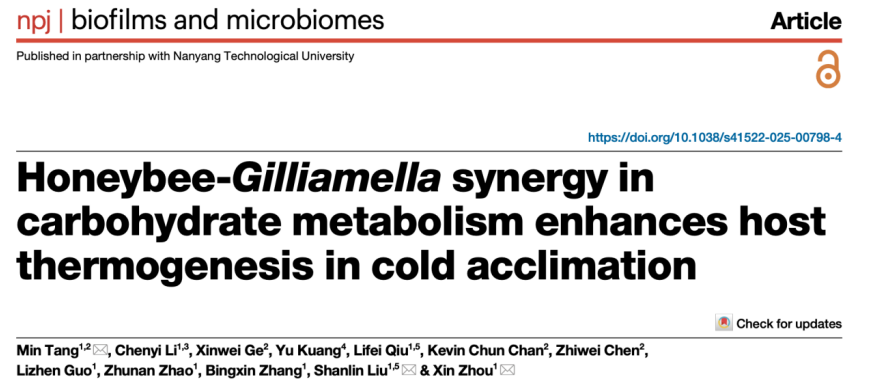 NPJ BIOFILMS MICROBI-中国农业大学植保学院周欣课题组揭示蜜蜂与共生菌通过糖代谢精密互作协同御寒的机制