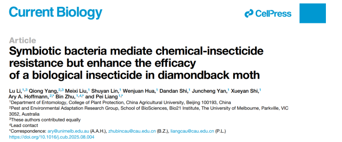 Current Biology中国农业大学植物保护学院梁沛/朱斌团队揭示肠道共生菌增强小菜蛾对毒死蜱抗性和Bt敏感性的分子机制