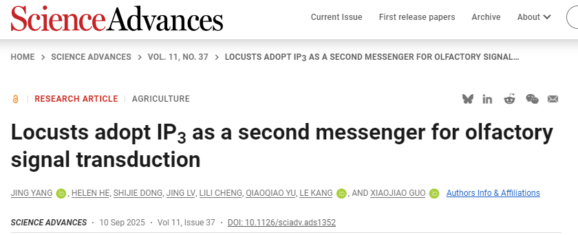 Science Advances：康乐院士团队揭秘昆虫嗅觉信号转导不经过经典的GPCR路径，IP3成为核心第二信使