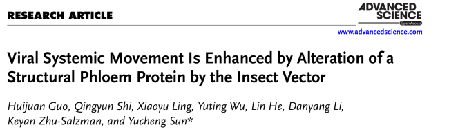 Adv. Sci. | 中科院动物所孙玉诚团队揭示蚜虫高效传毒的新机制：分泌唾液神器为病毒铺就系统性侵染的“高速路”