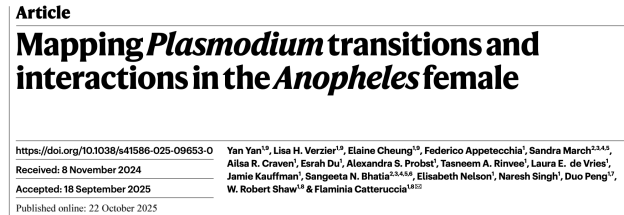 Nature重磅：疟原虫在按蚊中的发育与相互作用揭示