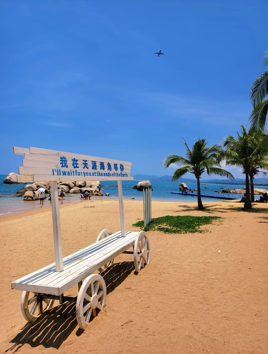 启航三亚：共探生物入侵与环境互作，引领科研创新新航程