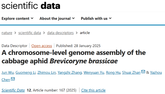 Scientific Data | 甘蓝蚜高质量染色体水平基因组公布