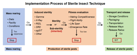 Entomologia Generalis-沈阳农业大学杨雪清教授团队综述不育昆虫技术在鳞翅目害虫治理中的研究进展