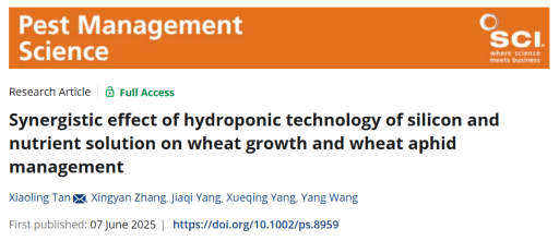Pest Management Science｜中国农科院植保所团队在水培硅肥与营养液调控小麦生长及防控麦蚜方面取得新进展