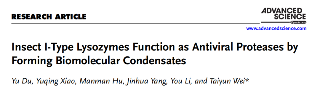 Adv. Sci.|福建农林大学魏太云团队发现虫媒溶菌酶的抗病毒机制