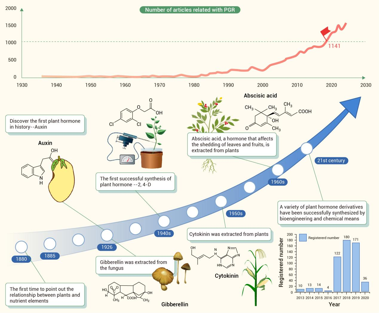 The Innovation Life | 塑造植物的“无形之手”：探讨植物生长调节剂的应用、挑战和未来