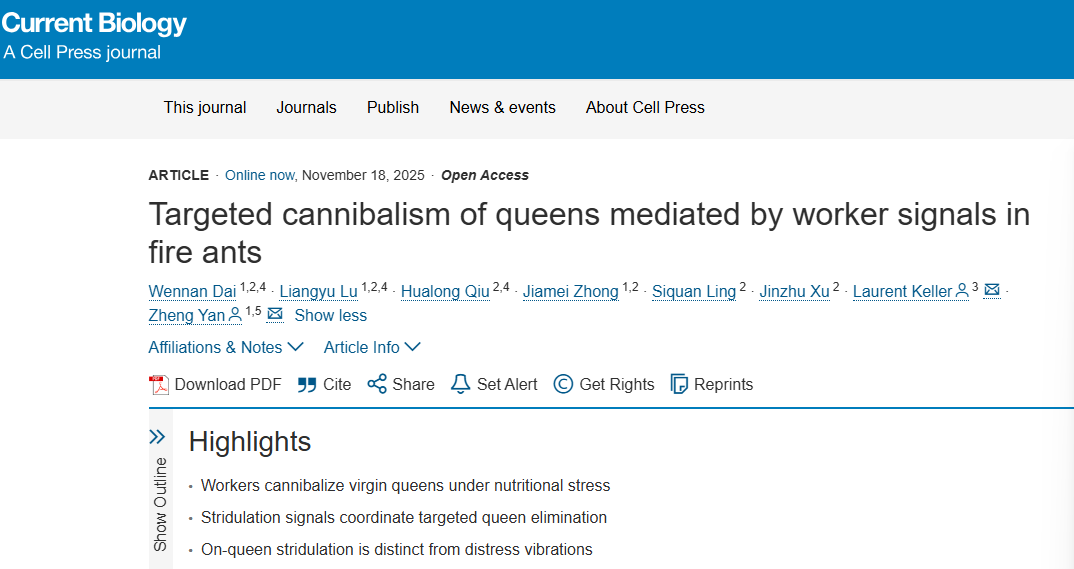 CB-饥饿红火蚁的弑君之声
