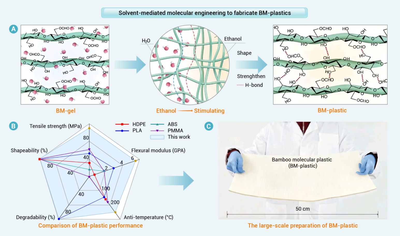 The Innovation Materials | “以竹代塑”：开启生物质塑料新未来