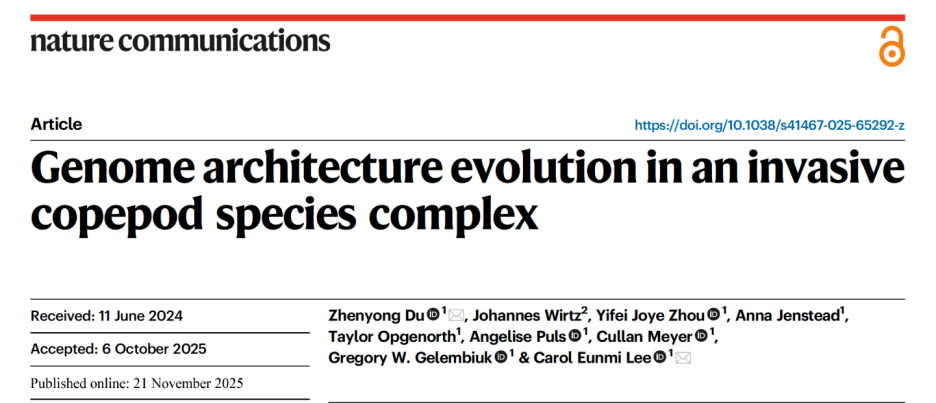 Nat Commun | 威斯康星大学杜振勇等揭示染色体融合塑造物种环境适应的基因组机制