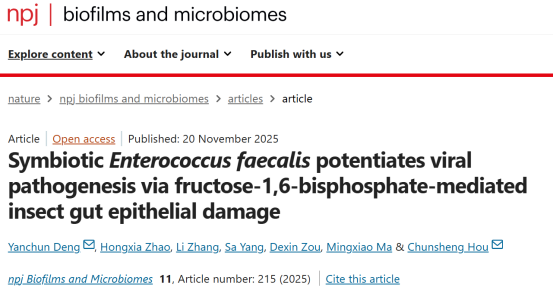 npj biofilms and microbiomes-中国农业科学院侯春生研究员团队揭示肠道菌增强病毒感染的新机制